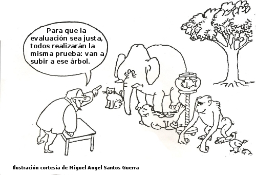 evaluacion animales selva